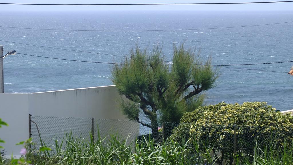 Santa Cruz Ocean Apartment - II 外观 照片